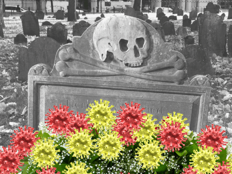 death positive coronavirus