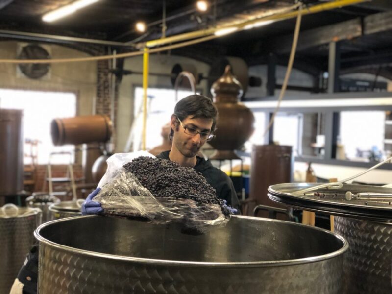 distilleries coronavirus