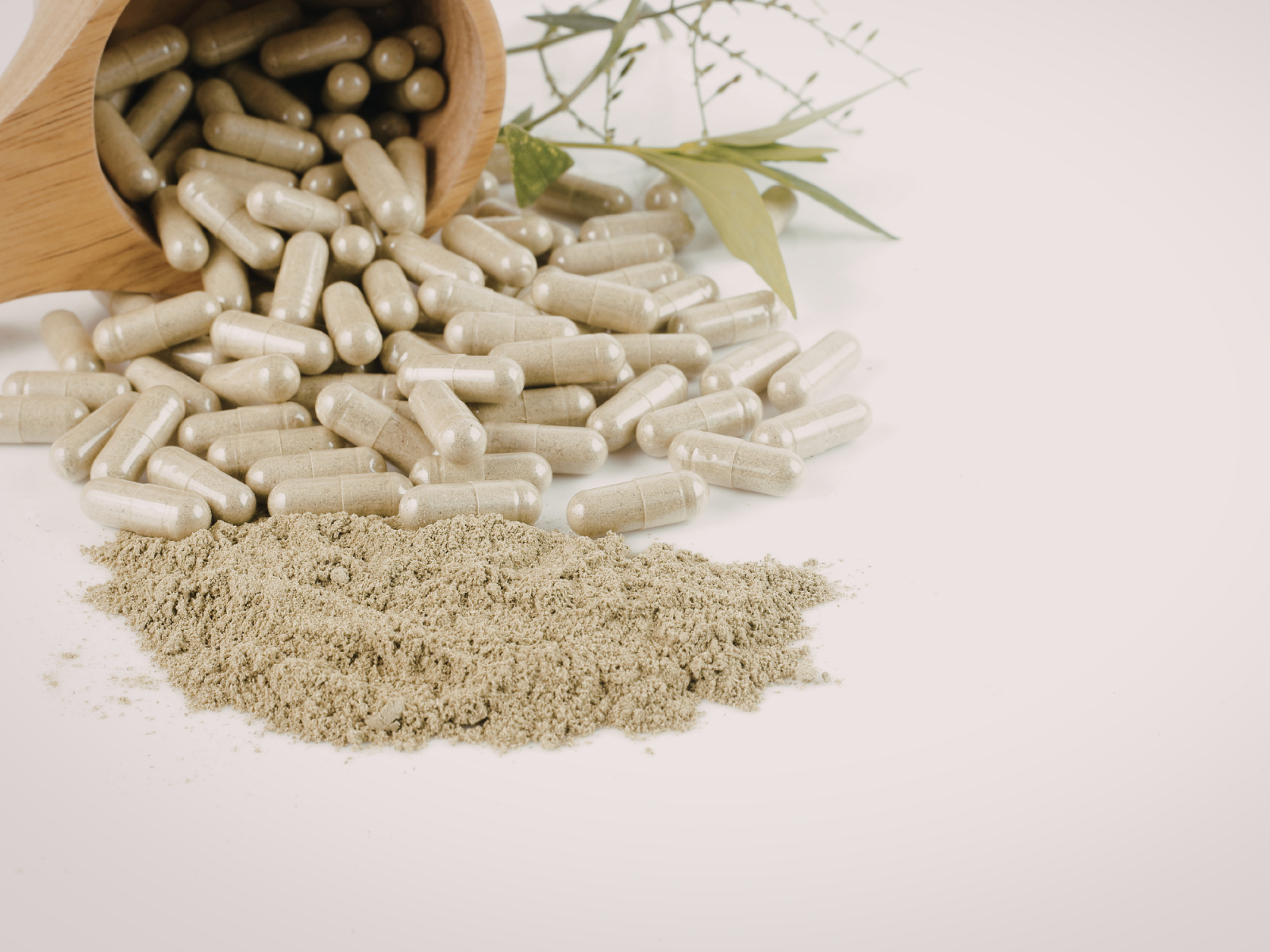 Can Massachusetts Lead The World In Psychedelic Opioid Treatment?