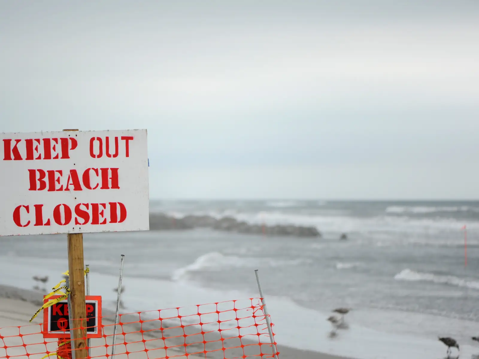 Nearly 50 Massachusetts Beaches Are Currently Closed. This is Why.